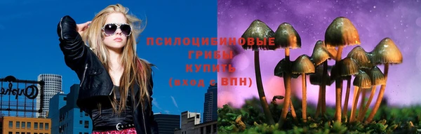 apvp Медногорск