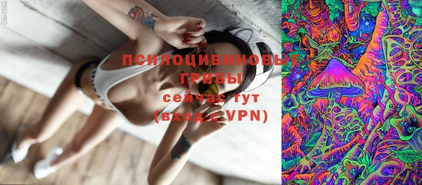 apvp Мегион