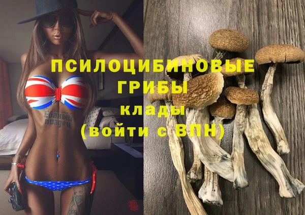 apvp Мегион