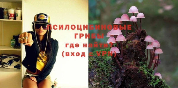 apvp Мегион