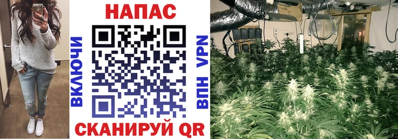 где купить наркотик  Тбилисская  Бошки Шишки конопля 